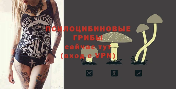 спиды Пересвет
