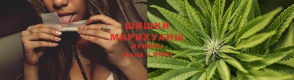 каннабис Алзамай